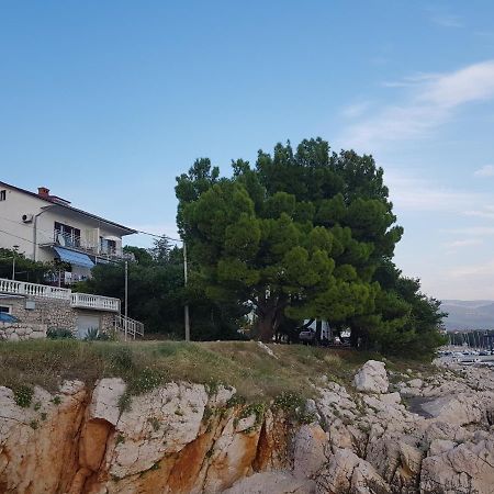 נובי ווינודולסקי Apartments Jenny מראה חיצוני תמונה