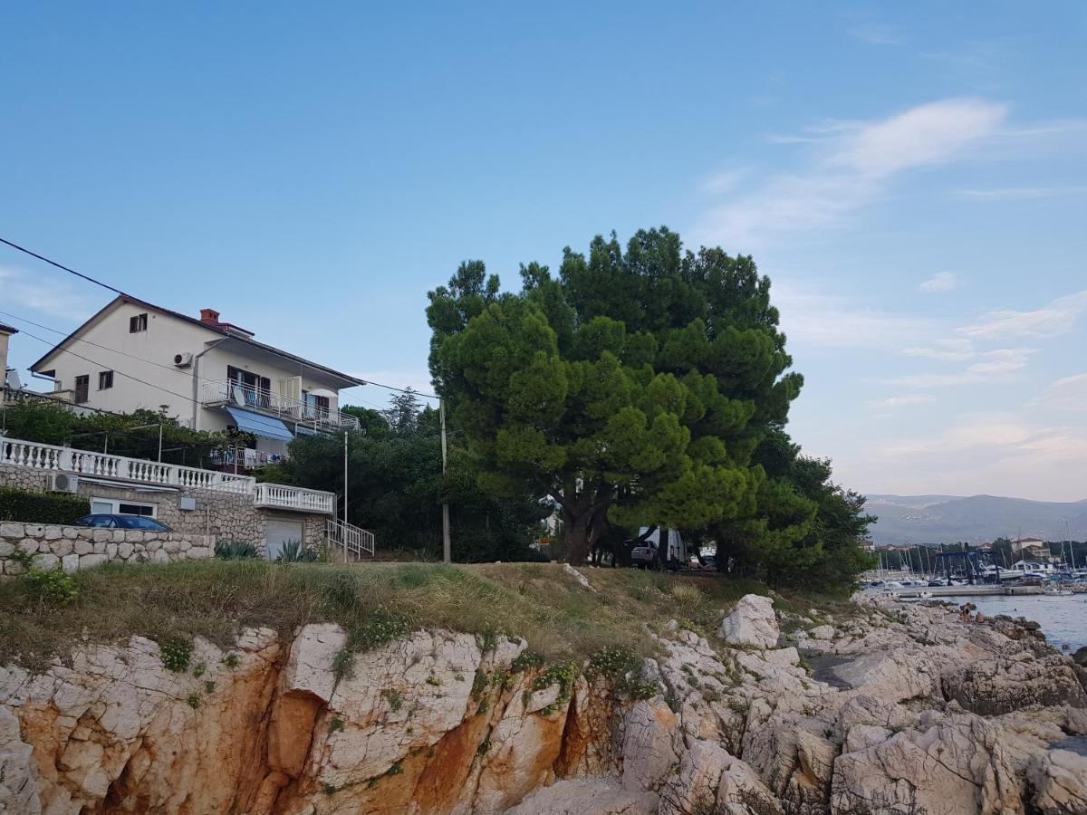 נובי ווינודולסקי Apartments Jenny מראה חיצוני תמונה